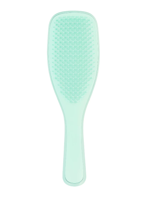 TANGLE TEEZER The Wet Detangler Fine & Fragile – Brosse à Cheveux Jade Lagoon – Bleu