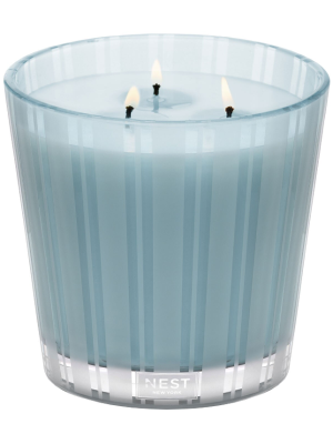 NEST New York Driftwood & Chamomile 3-Wick Candle 600g