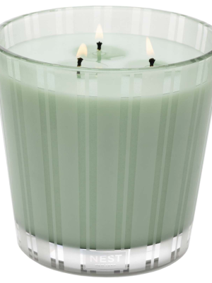 NEST New York Wild Mint & Eucalyptus 3-Wick Candle 600g