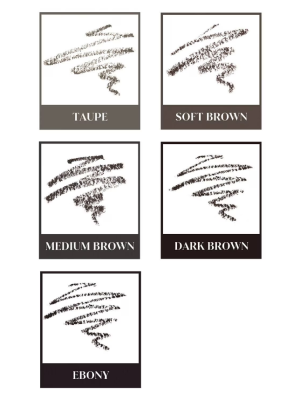 ANASTASIA BEVERLY HILLS Brow Beginners Kit